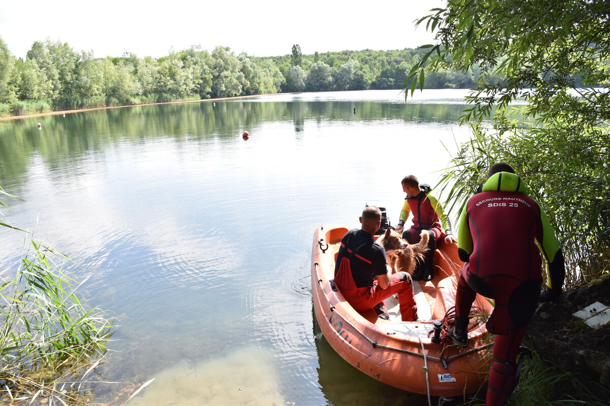 sdis25's tweet photo. [Entrainement]
Le mois dernier au plan d'eau de la commune d'Andelnans dans le département du Territoire de Belfort, se déroulait un #entraînement #RVIM (Recherche de Victime Immergée) des équipes #cynotechnique et #nautique.

📸 A.JACQUEL https://t.co/w2RhO7bAcV https://t.co/GyiqSe9UXD