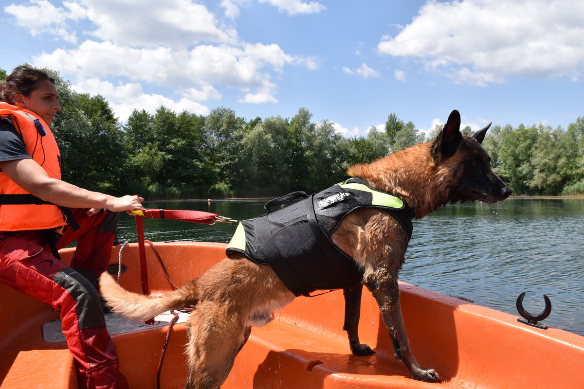 sdis25's tweet photo. [Entrainement]
Le mois dernier au plan d'eau de la commune d'Andelnans dans le département du Territoire de Belfort, se déroulait un #entraînement #RVIM (Recherche de Victime Immergée) des équipes #cynotechnique et #nautique.

📸 A.JACQUEL https://t.co/w2RhO7bAcV https://t.co/GyiqSe9UXD