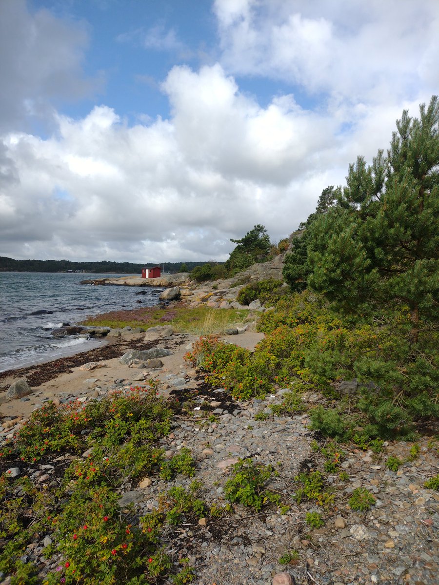 AMRI (Aquatic Microbiome Research Initiative) tweet media