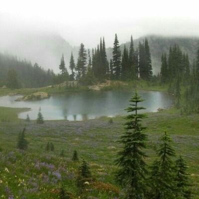 gIoomyweather's tweet photo. smell of the rain. https://t.co/YpBCBNSjzG