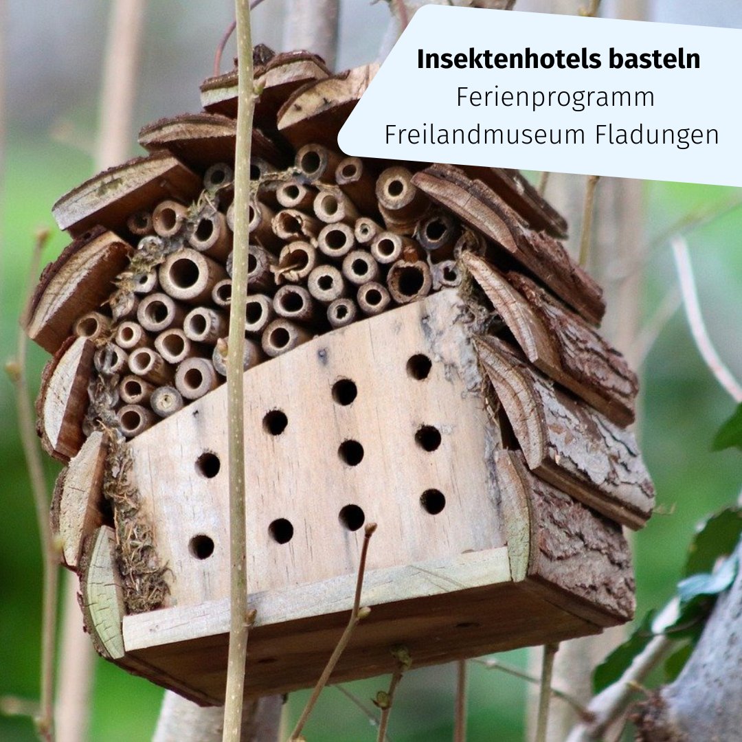 #Sommerferien 🐝 🐞  Insektenhotels und Wasserräder bauen: Ferienprogramm im Fränkischen Freilandmuseum Fladungen (ab 6. J., 2.8. bis 8.9.)
Auch in den anderen Freilichtmuseen ist was los: buff.ly/44IeKsG 
😎 Mehr Ferienprogramme: buff.ly/3Q5O0Oi