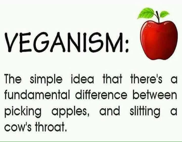 Defendanimals01's tweet photo. #govegan #vegan https://t.co/ndKbVK6Hav