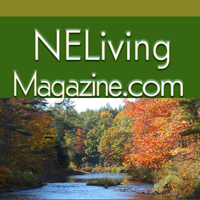 New England Prep Schools nelivingmagazine.com/new-england-pr… #newengland