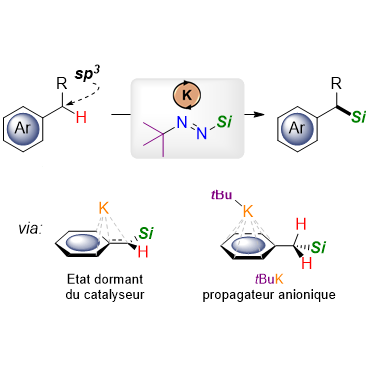 CNRS Chimie (@cnrschimie) on Twitter photo #chimie ⚗️#ResultatScientifique 📕🔎l Synthèse d’organosilanes par rupture de liaisons carbone-hydrogène : des scientifiques proposent une voie de synthèse radicalement nouvelle
🤝<a href="/jmaddalu/">Jacques Maddaluno</a> <a href="/C_Chauvier/">Clément Chauvier</a> <a href="/CNRS_Paris/">CNRS Paris-Centre</a> <a href="/Sorbonne_Univ_/">Sorbonne Université</a> <a href="/IPCM_Sorbonne/">Institut parisien de chimie moléculaire / IPCM</a>
➡️inc.cnrs.fr/fr/cnrsinfo/ro… #chimie ⚗️#ResultatScientifique 📕🔎l Synthèse d’organosilanes par rupture de liaisons carbone-hydrogène : des scientifiques proposent une voie de synthèse radicalement nouvelle
🤝<a href="/jmaddalu/">Jacques Maddaluno</a> <a href="/C_Chauvier/">Clément Chauvier</a> <a href="/CNRS_Paris/">CNRS Paris-Centre</a> <a href="/Sorbonne_Univ_/">Sorbonne Université</a> <a href="/IPCM_Sorbonne/">Institut parisien de chimie moléculaire / IPCM</a>
➡️inc.cnrs.fr/fr/cnrsinfo/ro…
