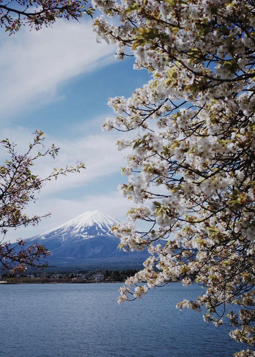 Pass through more landscapes and discover the essential meaning of this journey.
Little by little we are moving towards that goal.
This trip could mean a lot to me ✈️🌈🌈