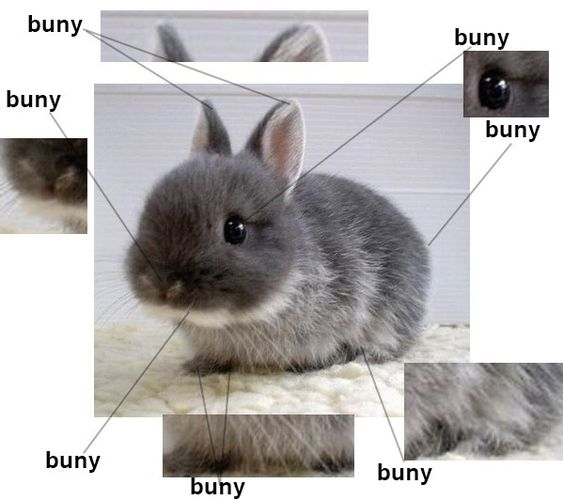 lovesickdoe's tweet photo. buny anatomy https://t.co/Qotc9SexM5