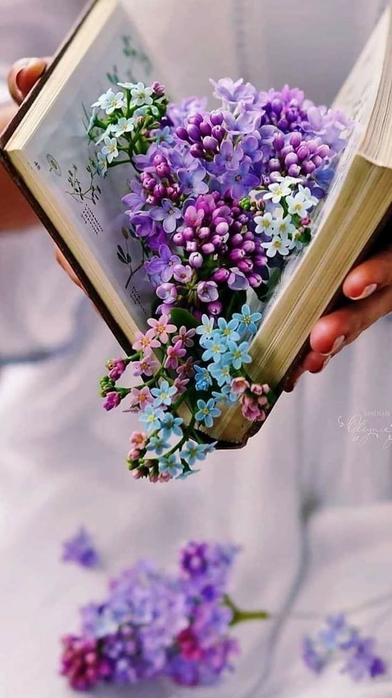 그대꼭 (@gdgmassdol02016) on Twitter photo 