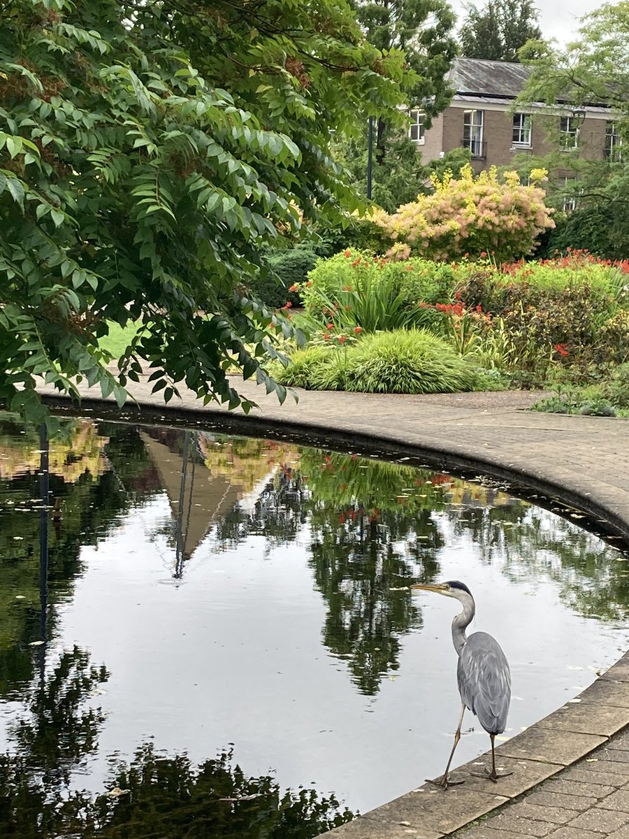 Katherine Dyke (@drkatdyke) on Twitter photo Graduation is over <a href="/UniofNottingham/">Uni of Nottingham #WeAreUoN</a> and with a return to calm on campus my morning walk pal has reappeared. Graduation is over <a href="/UniofNottingham/">Uni of Nottingham #WeAreUoN</a> and with a return to calm on campus my morning walk pal has reappeared.