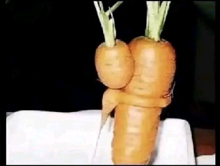 Nattyking123's tweet photo. A rare photo of a baby carrot clinging to its mother before being eaten by a heartless vegan 

STOP THIS CRUELTY NOW 😭😭😭😭 https://t.co/O8oqZQv3sa