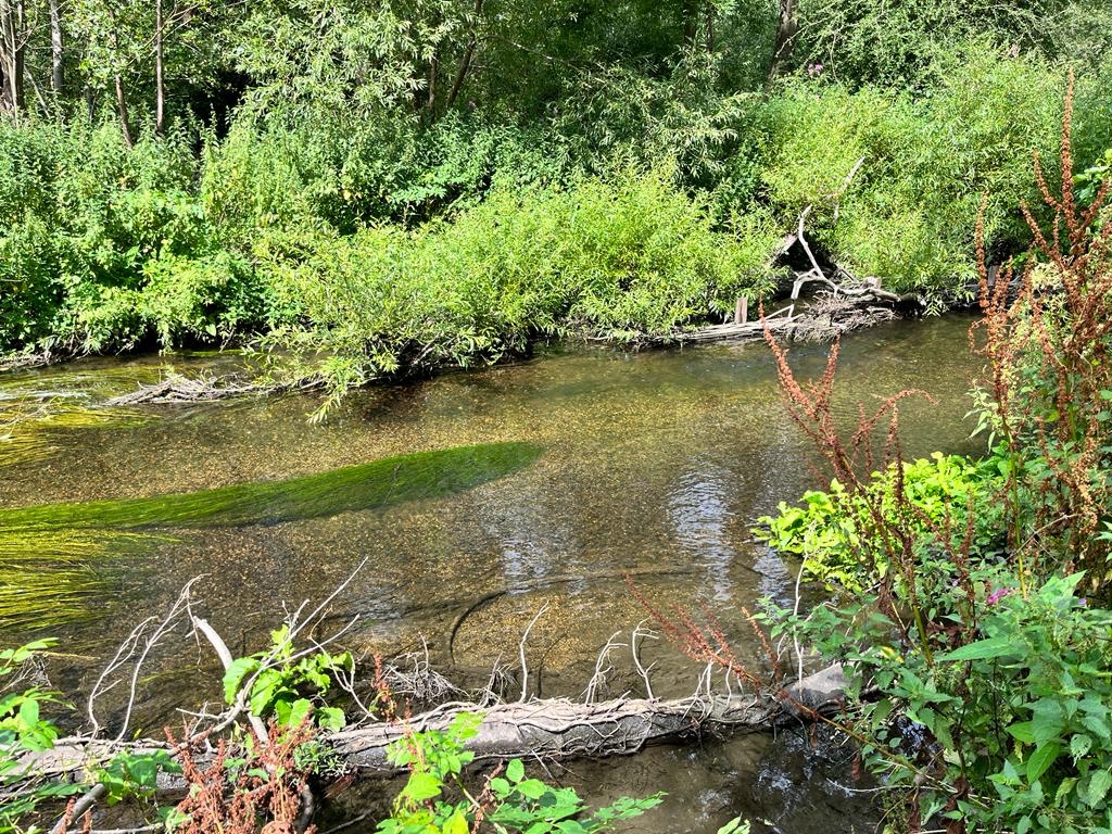 Communication is key! Great to get colleagues from #teamea who work on the river Crane together yesterday. Saw the excellent Little Park project and updated each other on what the different teams have been up to. Thanks to @FriendsRivCrane and Steve/Adrian for guiding us round.