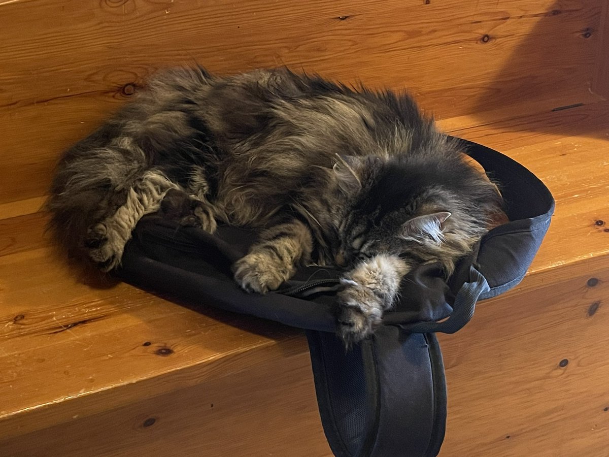 When you’re going out, and you wanna take your bag with you….