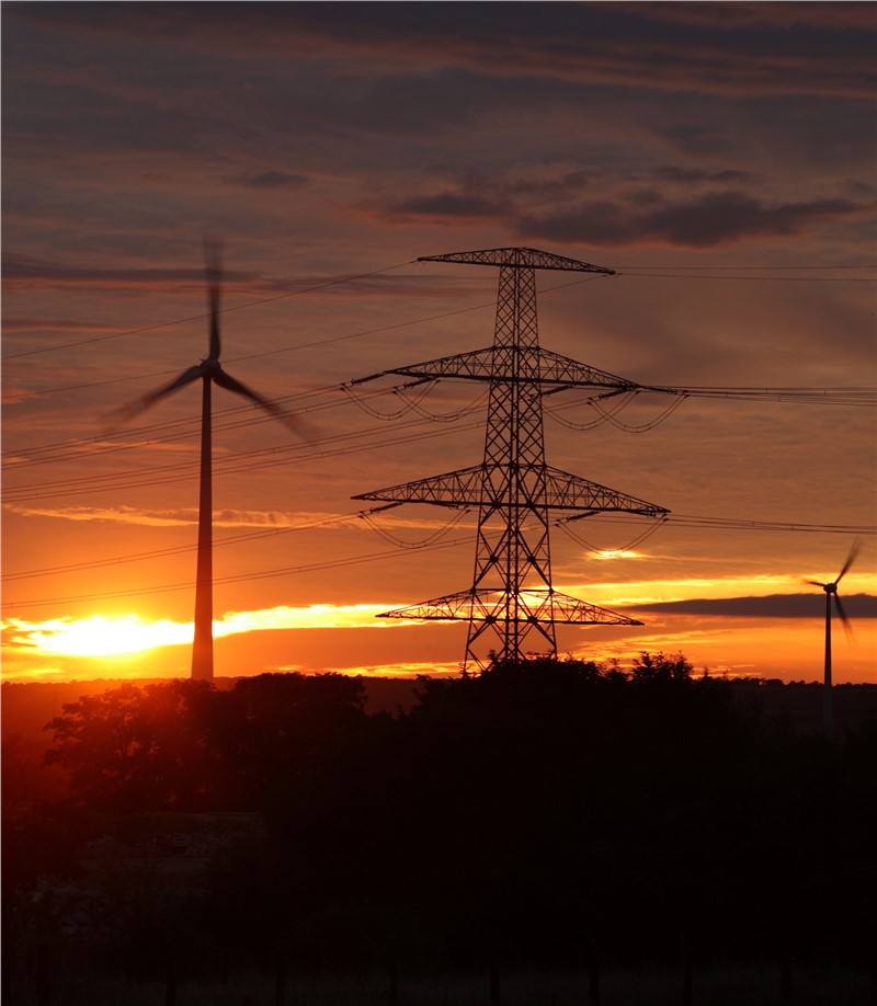 ASDReports tweet media