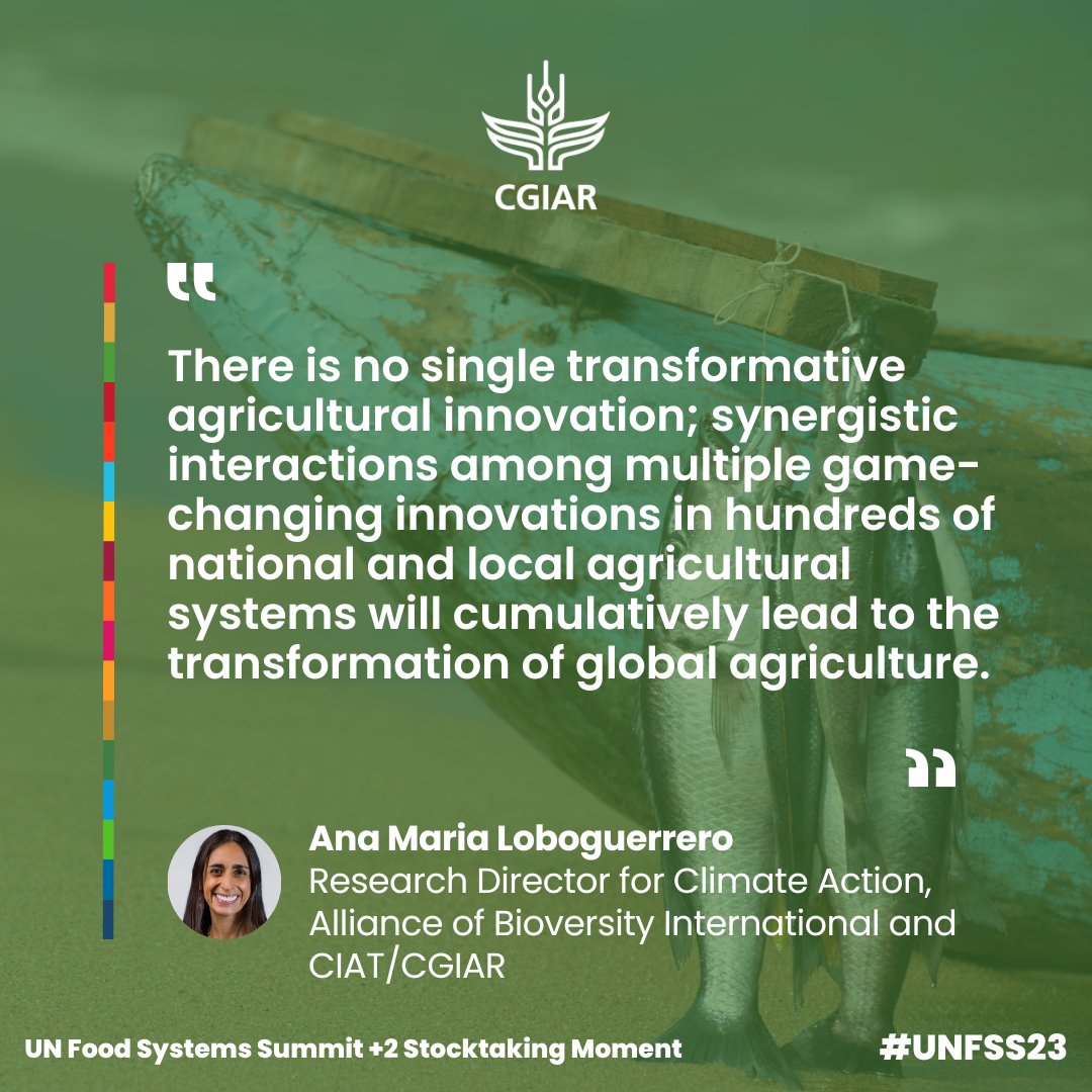 CGIAR's tweet image. Synergy is Key! This was a major key point from @amloboguerrero at #UNFSS2023. 

#FoodSystems #GlobalGoals #Sustainability #SDGs #OneCGIAR 
@BiovIntCIAT_eng
