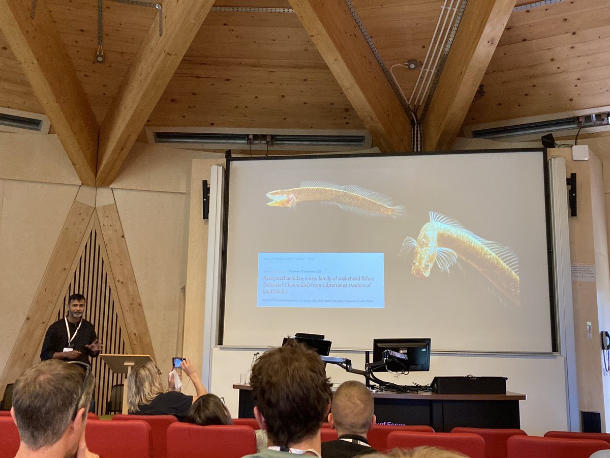cakloecker's tweet image. Day 2 @fsbi2023 highlighted successes and challenges in fisheries management and habitat restoration. We learned about the importance of nursery areas, otoliths and density dependence in salmon and project co-design with anglers and the public to find and manage (new) 🐠 species