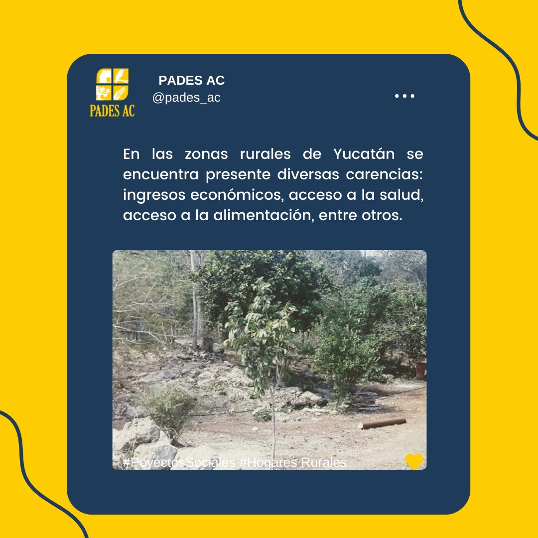 PadesAc's tweet photo. ¿Para qué sirven los proyectos sociales en el área rural de Yucatán? https://t.co/TBUiTzvwdN
