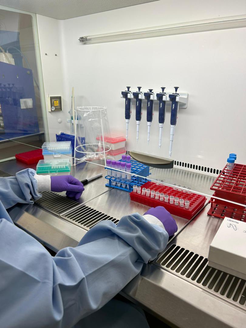 Jon Turner (@iee_research_gp) on Twitter photo No better time than during the #ISDP23 conference to announce that the first biosamples have just arrived in our lab for our #adversity #divergent #MZtwins project funded by the <a href="/FnrLux/">Luxembourg National Research Fund (FNR)</a> and done at the <a href="/LIH_Luxembourg/">LIH_Luxembourg</a> with <a href="/ArchieMposhi/">Archie Mposhi</a> No better time than during the #ISDP23 conference to announce that the first biosamples have just arrived in our lab for our #adversity #divergent #MZtwins project funded by the <a href="/FnrLux/">Luxembourg National Research Fund (FNR)</a> and done at the <a href="/LIH_Luxembourg/">LIH_Luxembourg</a> with <a href="/ArchieMposhi/">Archie Mposhi</a>