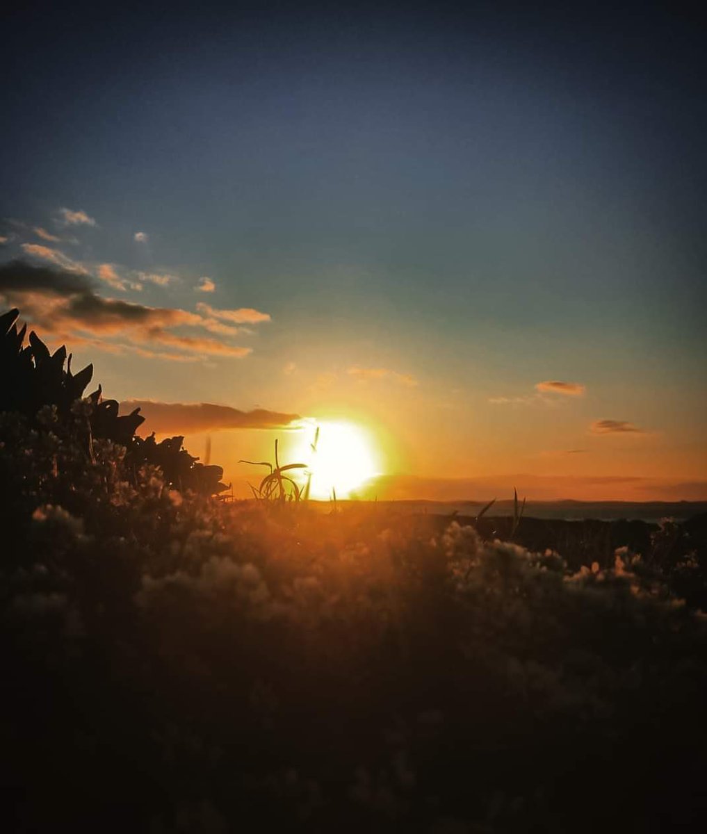 CecilTaise's tweet photo. A beautiful sunset
#sunsetphotography #northernireland #ireland #discoverni #ni #photography #northernirelandtourism #nature #photooftheday #discoverireland #niexplorer #daily #visitni https://t.co/8ZiRz2DBXu
