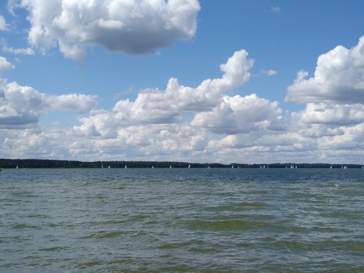 ania_karnkowska's tweet photo. Perfect day at work! Collecting water samples for @NCN_PL #Microdiver project on protist interactions.
#protist #lakes ππ£π¦ #MazuryCudNatury https://t.co/arr2AEJ0sj