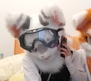 jiangyu638608's tweet photo. #fursuit  毛播睡着被发现 醒来接电话没声 https://t.co/CYt5i6sxRi