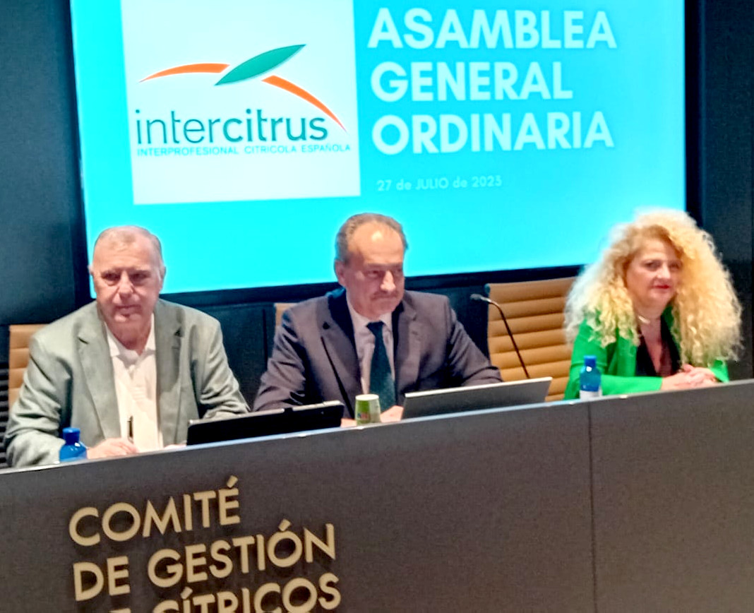 GVAagricultura's tweet photo. 🍊🗣️José Luis @AguirreLarrauri: #Intercitrus és necessària i ha de continuar treballant, arribar a acords per unanimitat i defensar la citricultura a Europa
👥Cloenda de l'Assemblea General Ordinària d'Intercitrus, que passa a ser presidida per Imaculada Sanfeliu https://t.co/YCUaoSoROU