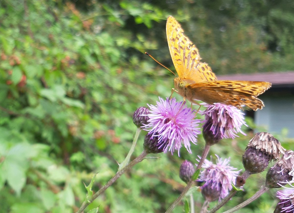 Janet Mee tweet media