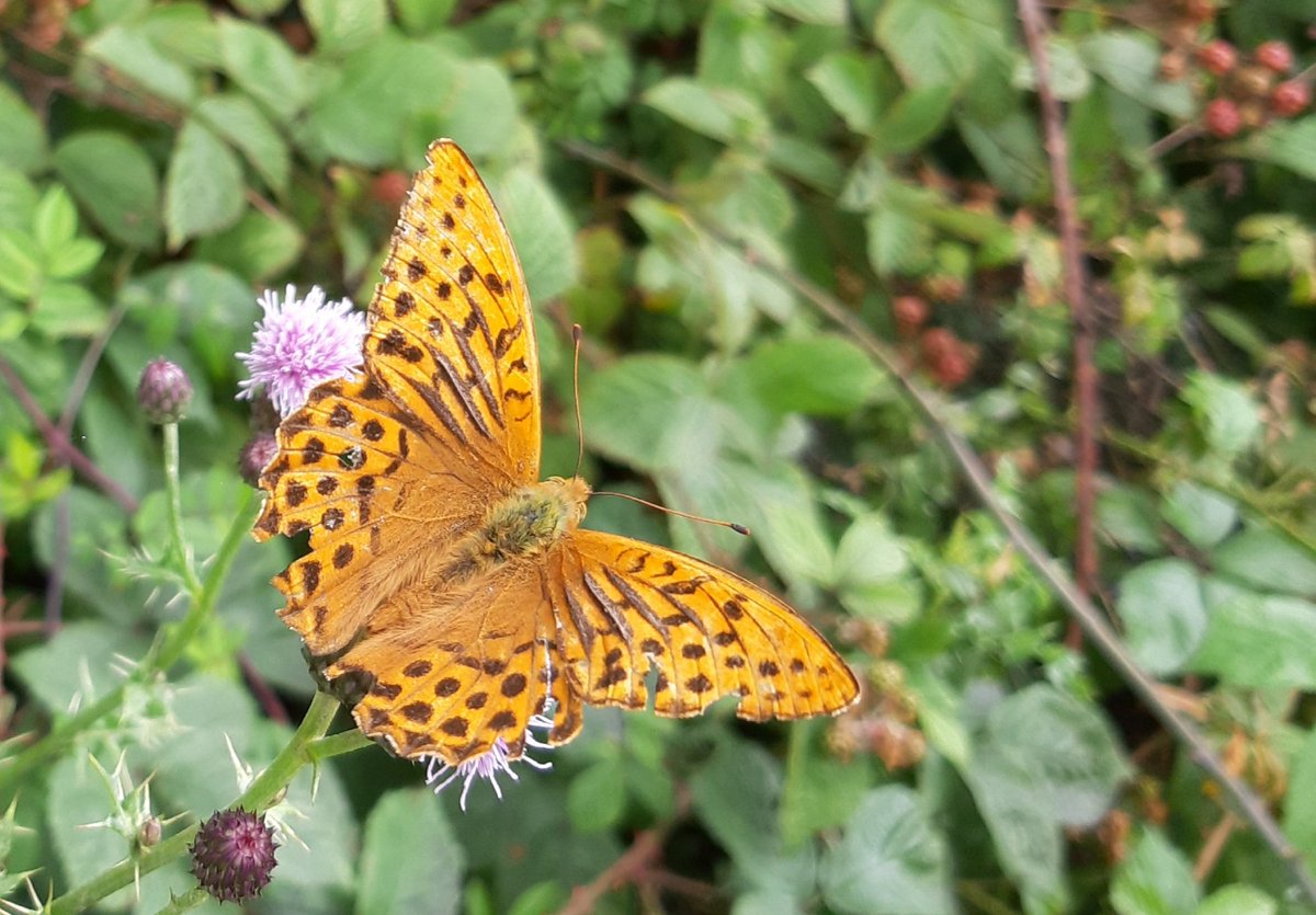 Janet Mee tweet media