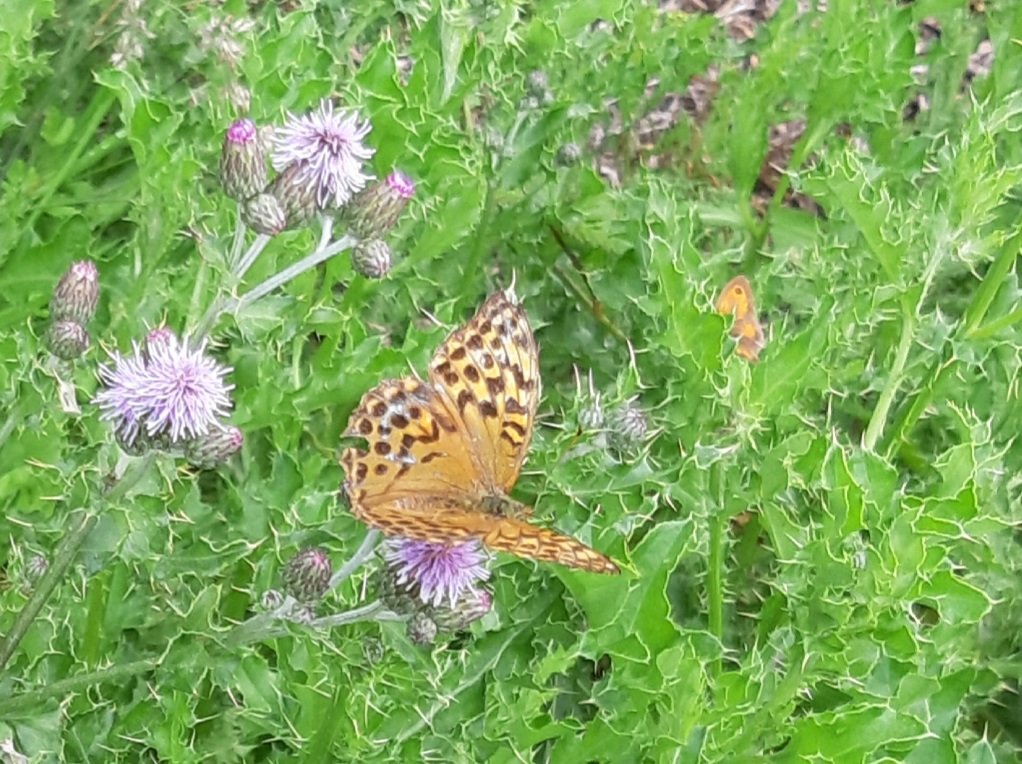 Janet Mee tweet media