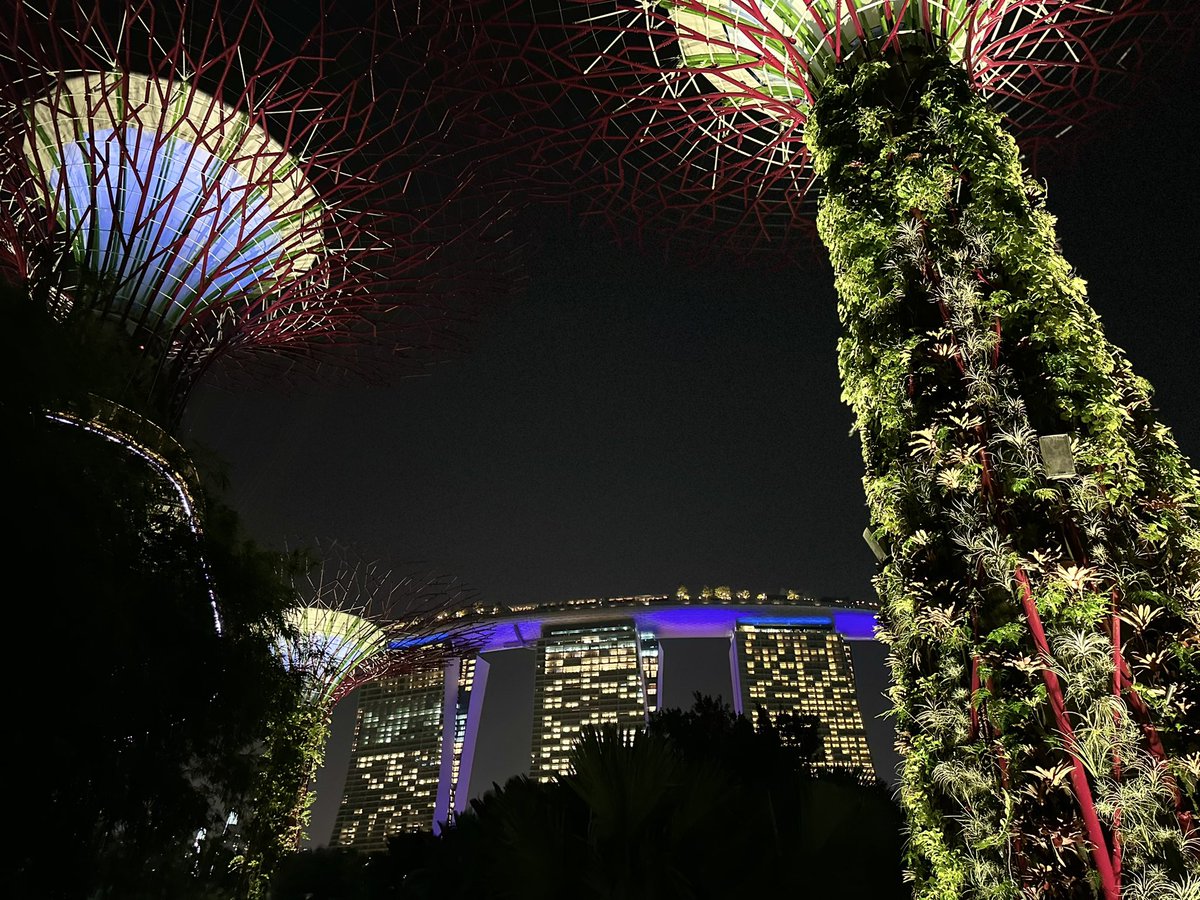 Greg Chase, XMP tweet media