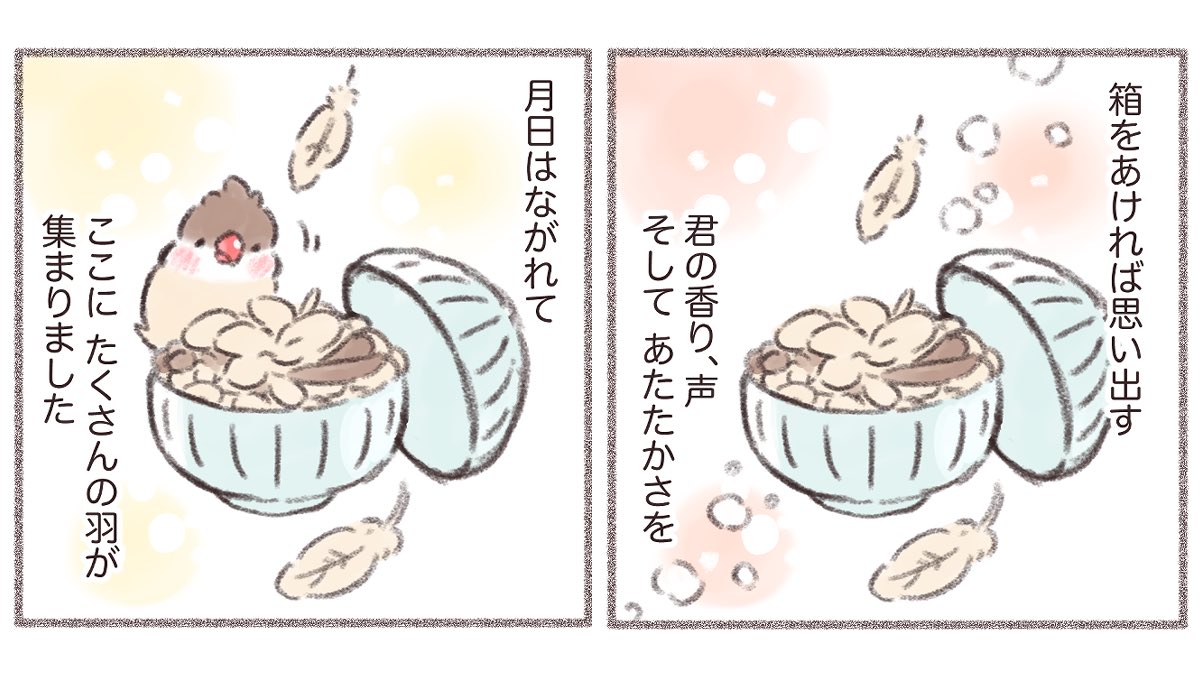 羽をあつめて🪶(1/2)

#文鳥 #漫画が読めるハッシュタグ 