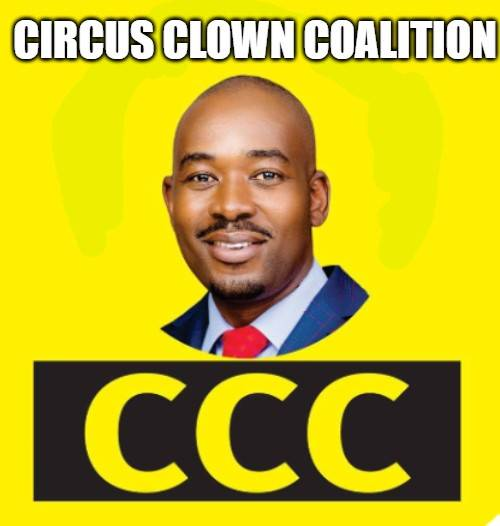 man_kuchi's tweet photo. We can post this one though #Clown #Chamisa #CCC https://t.co/0TQhaKTCm9