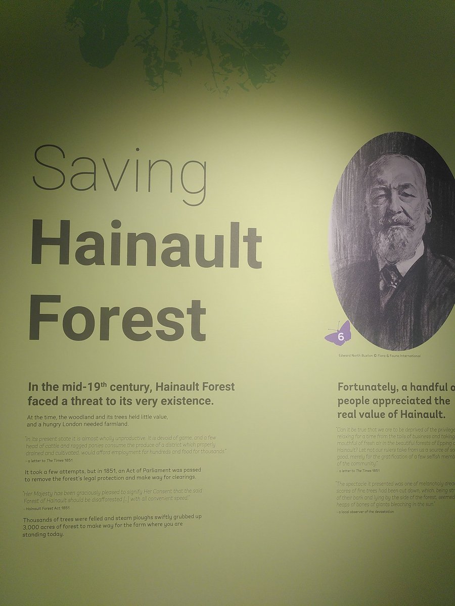 EppingForestHT's tweet photo. Fantastically insightful & enjoyable visit to #HainaultForest to learn from, & share with, peers. Huge thanks to @VisionRCL @DoMoreRed @WoodlandTrust
#Collaboration #Learrning #AncientTrees https://t.co/MMDz6xZLrk