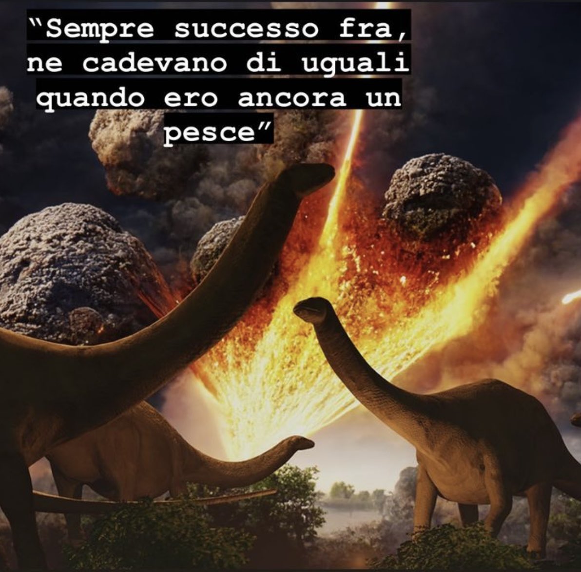 acmemetico's tweet photo. https://t.co/c9TLtrZoR2
