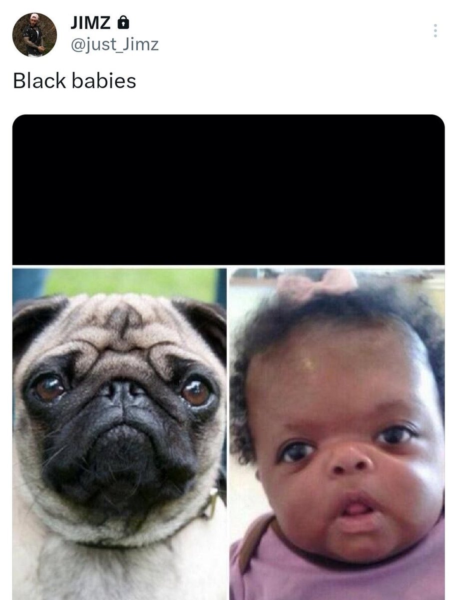 The Algorithm Boul tweet media