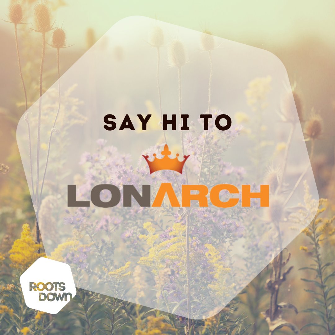 Roots Down tweet media