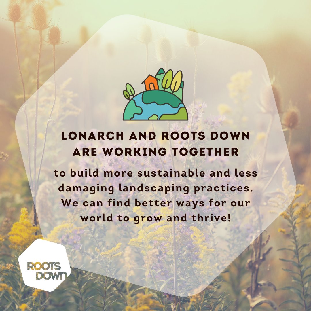 Roots Down tweet media