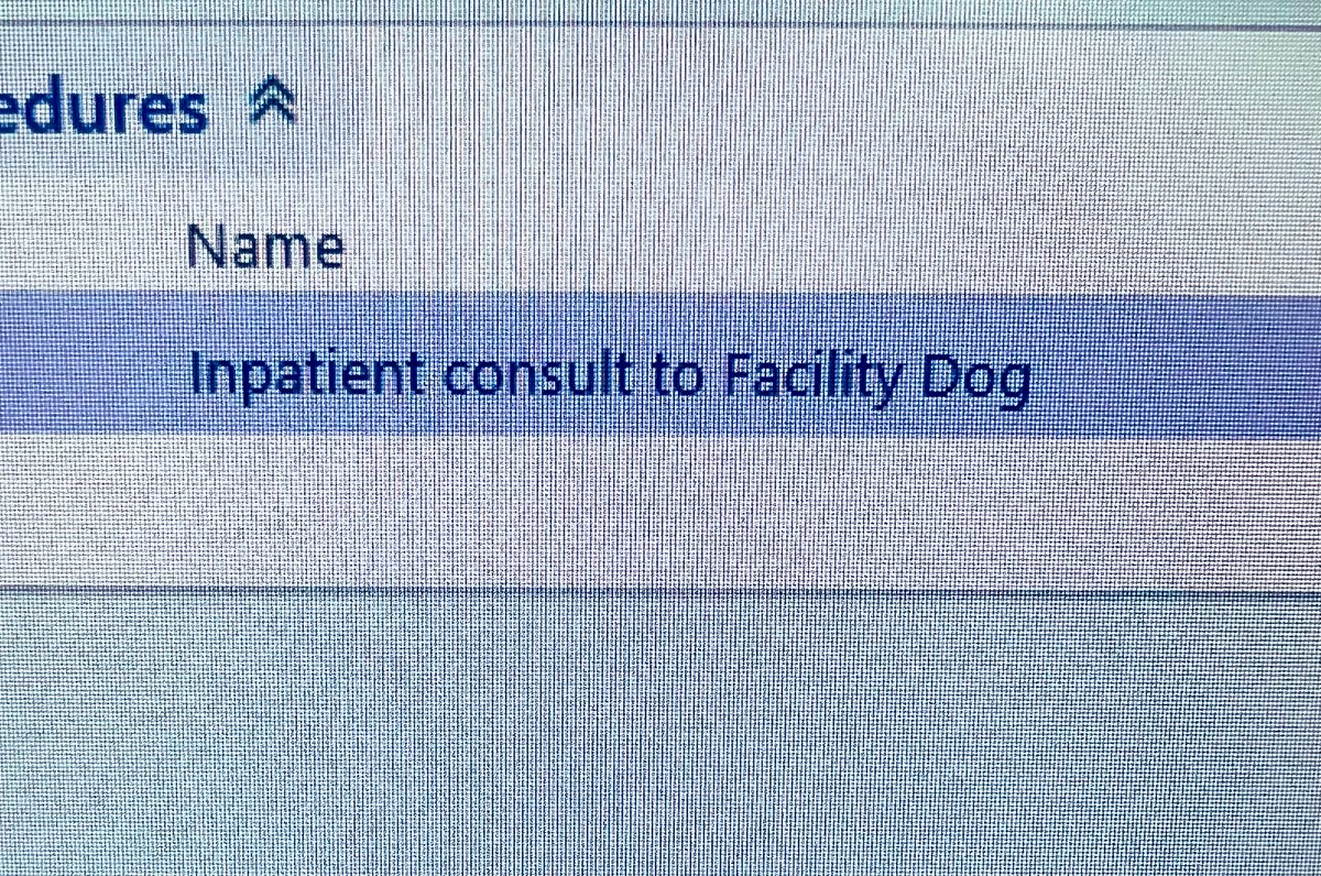 VanjaTolj's tweet photo. the best consult I’ve placed so far … &amp; probs the best one I’ll ever place 🥹🐾 https://t.co/HpRZkfKo2q