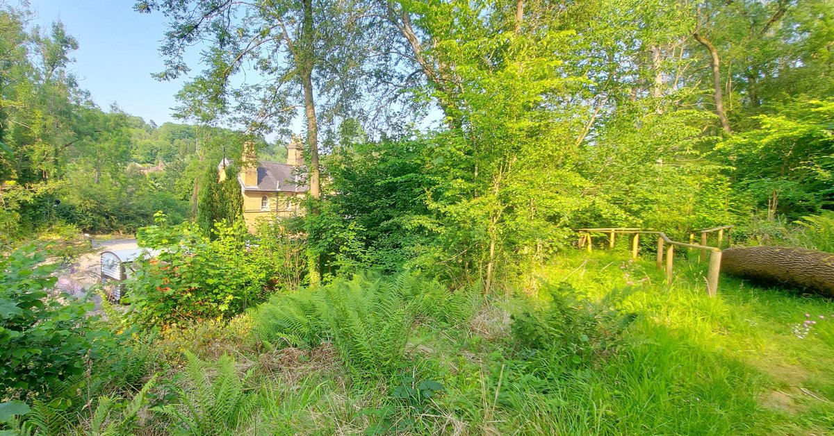CoalportStation's tweet photo. We love seeing all the wildlife sharing our grounds with us here @CoalportStation Guests often mention how tranquil it is here!๐ฆ๐ฆ๐พ๐ฆ๐ฆ
What wildlife have you seen during your stay with us?๐ค๐๏ธ๐ณ
#britishwildlife #ruralretreat #ironbridgegorge #shropshirewildlife #severngorge https://t.co/tTKRF0wIzL
