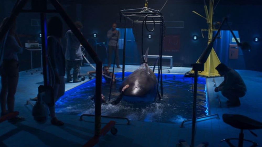FilmsQuirky's tweet photo. #DeepBlueSea2 (2018) 🦈
A brilliant billionaire creates five genetically altered bull sharks, which proceed to wreak havoc for a group of scientists on an isolated research facility.
#CreatureFeature #FilmsWithBite #FilmTwitter 📽️ 🎬 https://t.co/ICgQIwOBYE