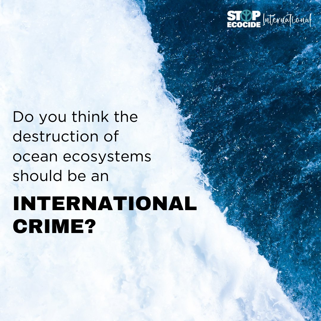 Stop Ecocide International tweet media