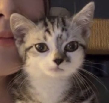 Hoje ainda é quinta?