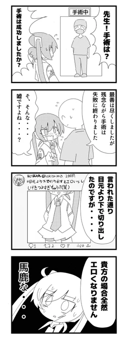 初音ミクの誤算

 #目元より下で切り出すとエ口いらしい 
