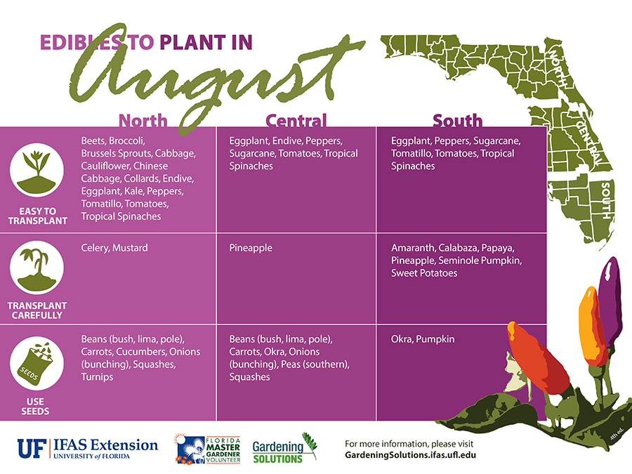 Who's up for nightshades? The weather is just right for planting eggplants, peppers, tomatillos, and tomatoes.  Find the text and printable versions of this infographic on UF/IFAS Gardening Solutions: gardeningsolutions.ifas.ufl.edu/plants/plant-o…