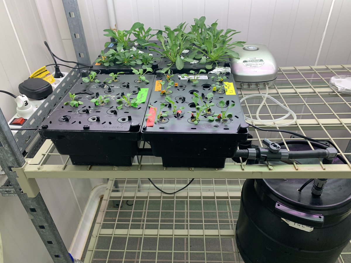 Metal_Hype tweet media