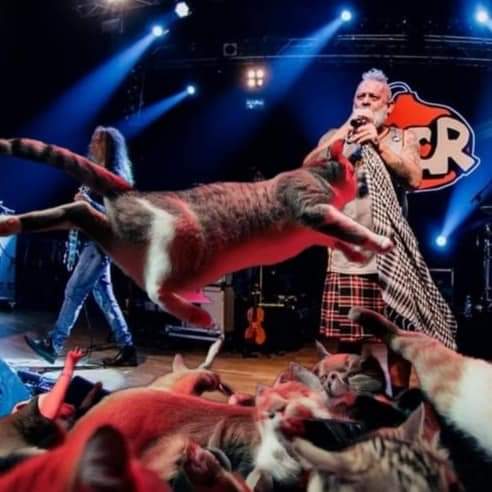 MCityRamblers's tweet photo. Perchรฉ venire ai nostri concerti? Ma perchรฉ sono sempre carini e coccolosi, anche durante il pogo!
Ps. Nessun micetto รจ stato maltratrato ๐ป
#micetti https://t.co/My4B7tvZ3W