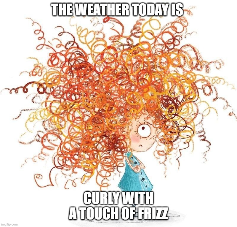 lvmonkey70's tweet image. 