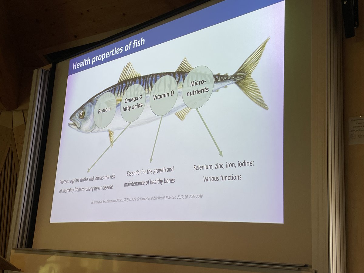 johnkpinnegar's tweet photo. Introducing 2023's @Buckland_F  honorary professor,  Baukje de Roos @aberdeenuni as she describes "Fish as food - how much do we have, what do we eat and what should we be eating?" @fsbi2023 @TheFSBI @CefasGovUK @Uni_of_Essex https://t.co/Fsih2t8Thy