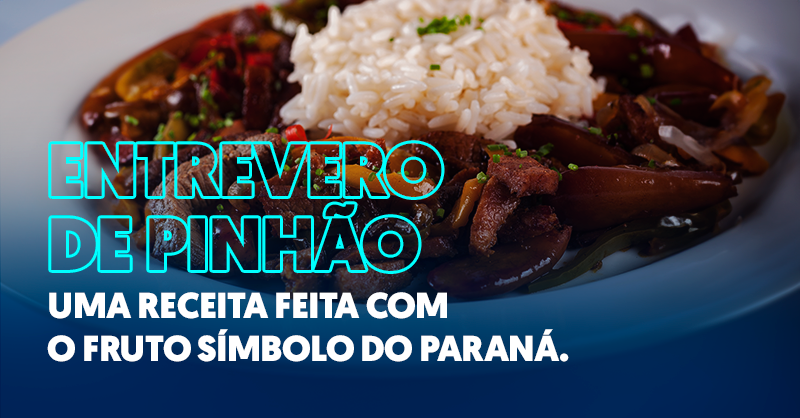 CompagasOficial's tweet photo. Se tem uma coisa que faz o coração do paranaense bater mais forte é comer pinhão nesse friozinho, né? 

Olha só essa receita! 👇 https://t.co/XoUjGhYuEt