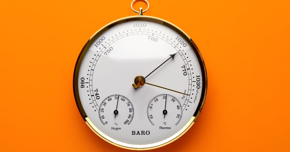 Branch & Bramble tweet media