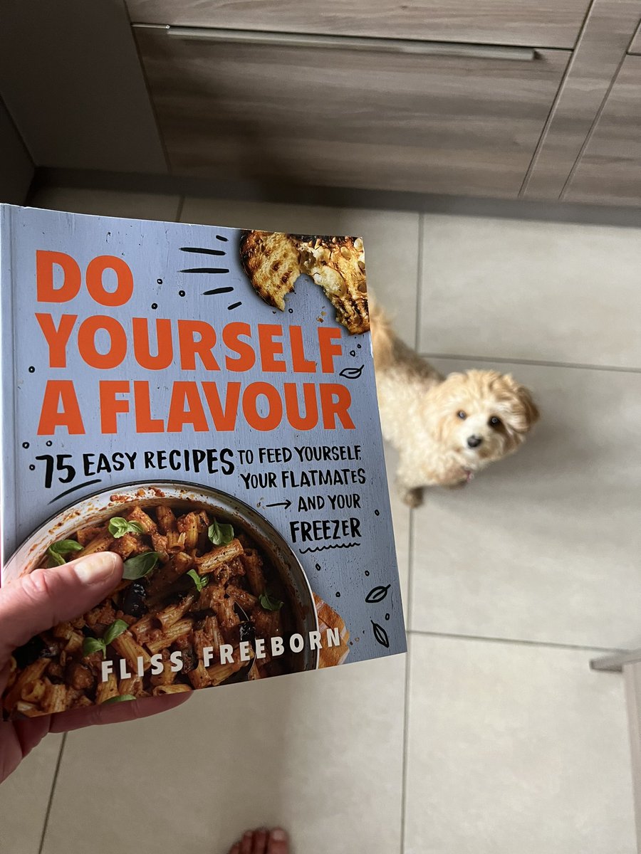 Look what arrived today @FlissFreeborn (with added Zelda for cuteness)