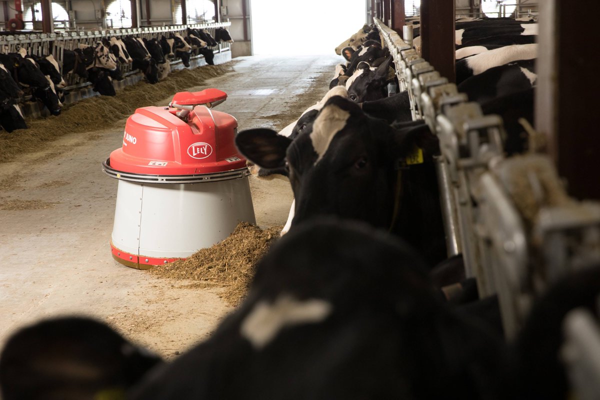 TheCheeseProf's tweet image. Moo-ving forward: How robots are creating a better fife for dairy cows &amp;amp; farmers 🐄🤖 #thecheeseprofessor #cheese 

Click the Link in Our Bio for More!

Story by  JEANETTE HURT
@byjeanettehurt
@MariekeGouda 
@DairyRobot 

cheeseprofessor.com/blog/dairy-rob…